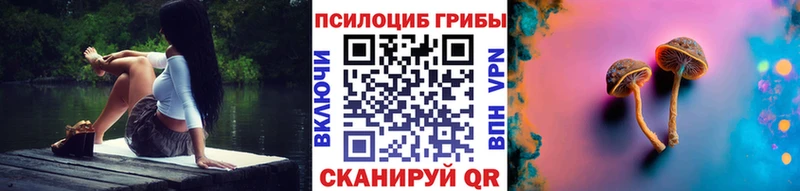 Псилоцибиновые грибы прущие грибы  Губаха 