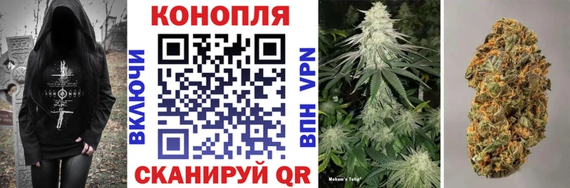 Конопля гибрид наркотики МЕГА зеркало Губаха